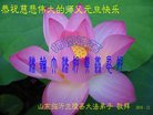 ֹ,ʴ󷨵ӹףʦ(29)