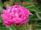 ֹ,ʴ󷨵ӹףʦ(29)