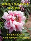 ֹ,ϴ󷨵ӹףʦ(32)