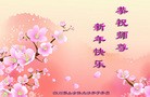 Published on 1/1/2017 ���ֹ�,��½31ʡ����������ֱϽ�д󷨵��ӹ�ףʦ�������