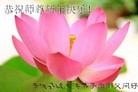 ֹ,żҿڴ󷨵ӹףʦ(28)