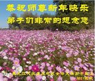 ֹ,󷨵ӹףʦ(24)