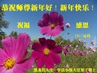 ֹ,󷨵ӹףʦ(24)