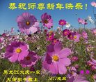 ֹ,󷨵ӹףʦ(24)