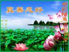 法轮功,河南大法弟子恭祝师尊新年好(21条)