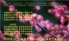 ֹ,«󷨵ӹףʦ(25)
