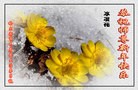 ֹ,󷨵ӹףʦ(24)
