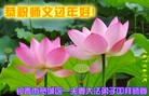 ֹ,󷨵ӹףʦ(22)
