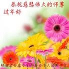 法轮功,陕西大法弟子恭祝师尊新年快乐(24条)
