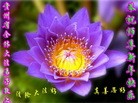 ֹ,ݴ󷨵ӹףʦ(22)
