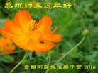 ֹ,ϴ󷨵ӹףʦ(19)

