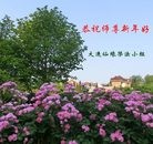 法轮功,大连大法弟子恭祝师尊新年快乐(29条)

