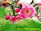 ֹ,ӱ󷨵ӹףʦ(26)
