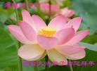 ֹ,ӱ󷨵ӹףʦ(26)
