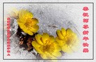 ֹ,󷨵ӹףʦ(24)
