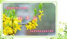Published on 2/7/2016 ���ֹ�,��½���Ӵ󷨵��ӹ�ףʦ������(20��)
