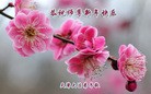 ֹ,󷨵ӹףʦ(20)
