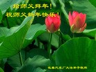 Published on 12/30/2015 ���ֹ�,����ҵ�󷨵��ӹ�ףʦ���������(31��)
