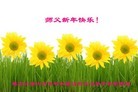 ֹ,󷨵ӹףʦ(22)
