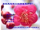 ֹ,󷨵ӹףʦ(22)
