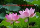 ֹ,󷨵ӹףʦ(28)
