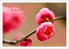 ֹ,󷨵ӹףʦ(24)
