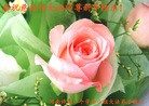 ֹ,ϴ󷨵ӹףʦ(29
