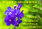 ֹ,ϴ󷨵ӹףʦ(25)
