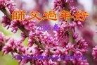 ֹ,ӱ󷨵ӹףʦ(26)

