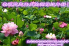 ֹ,󷨵ӹףʦ(24)
