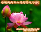ֹ,󷨵ӹףʦ(24)
