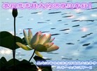 ֹ,󷨵ӹףʦ(24)

