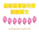 法轮功,哈尔滨大法弟子恭祝师尊新年快乐(24条)
