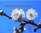 ֹ,󷨵ӹףʦ(29)
