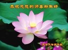 ֹ,󷨵ӹףʦ(20)
