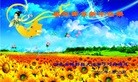ֹ,󷨵ӹףʦ(27)
