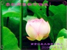 ֹ,մ󷨵ӹףʦ(24)
