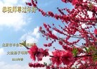ֹ,󷨵ӹףʦ(28)
