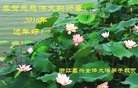 ֹ,㽭󷨵ӹףʦ(25)
