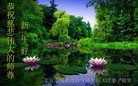 ֹ,󷨵ӹףʦ(28)
