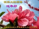 ֹ,żҿڴ󷨵ӹףʦ(23)
