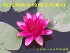 ֹ,ʡ󷨵ӹףʦ(22)
