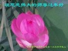 ֹ,ʡ󷨵ӹףʦ(22)
