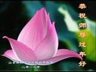 ֹ,ൺ󷨵ӹףʦ(21)
