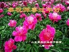 ֹ,ൺ󷨵ӹףʦ(21)
