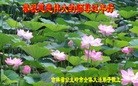 ֹ,ʡ󷨵ӹףʦ(22)
