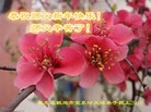 ֹ,󷨵ӹףʦ(27)
