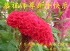 ֹ,㶫󷨵ӹףʦ(28)
