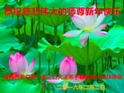 ֹ,󷨵ӹףʦ(21)
