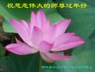 ֹ,ʡ󷨵ӹףʦ(22)
